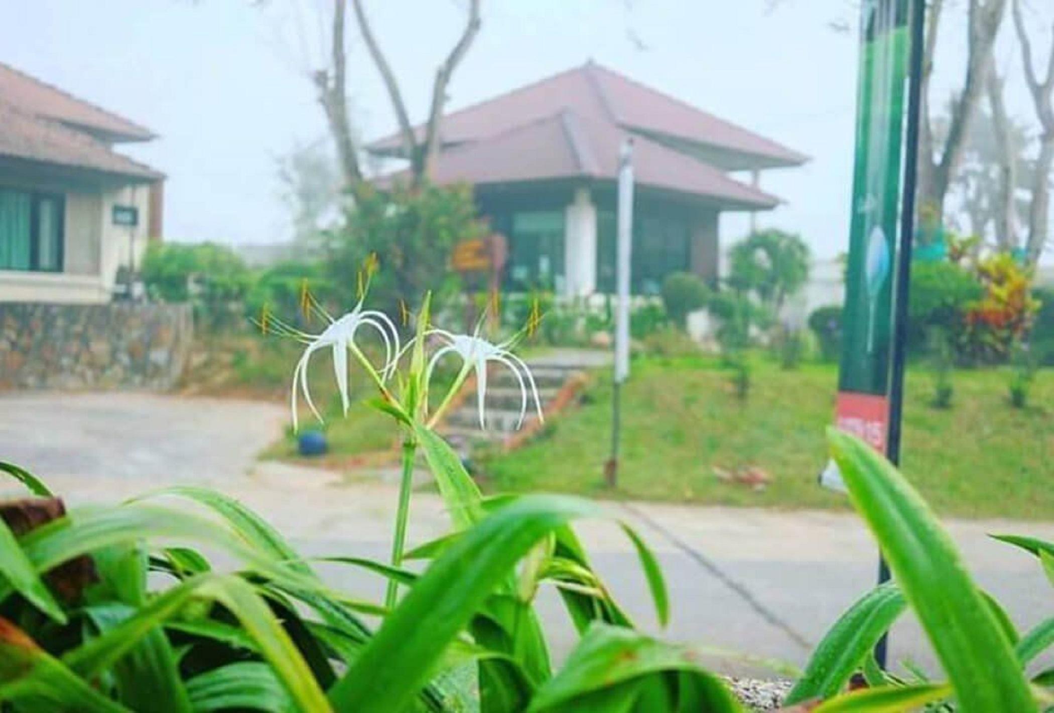 Pattaya Country Club & Resort Ban Pong  Dış mekan fotoğraf